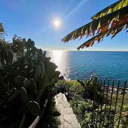 Mimosa Seafront - Free Parking Wi-fi Апартаменты