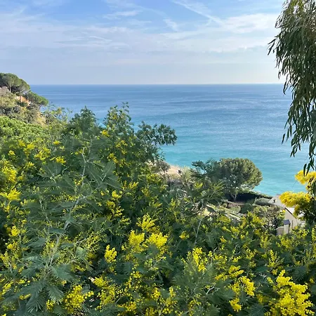 Апартаменты Mimosa Seafront - Free Parking Wi-fi *