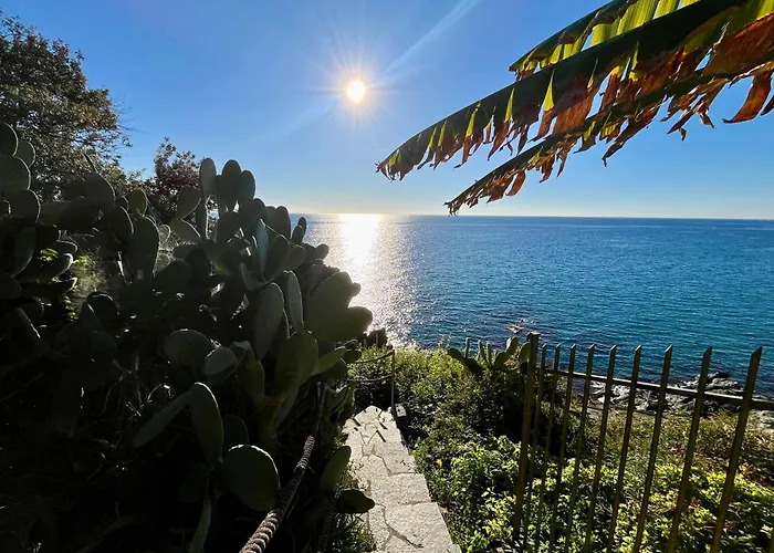 Mimosa Seafront - Free Parking Wi-fi 公寓